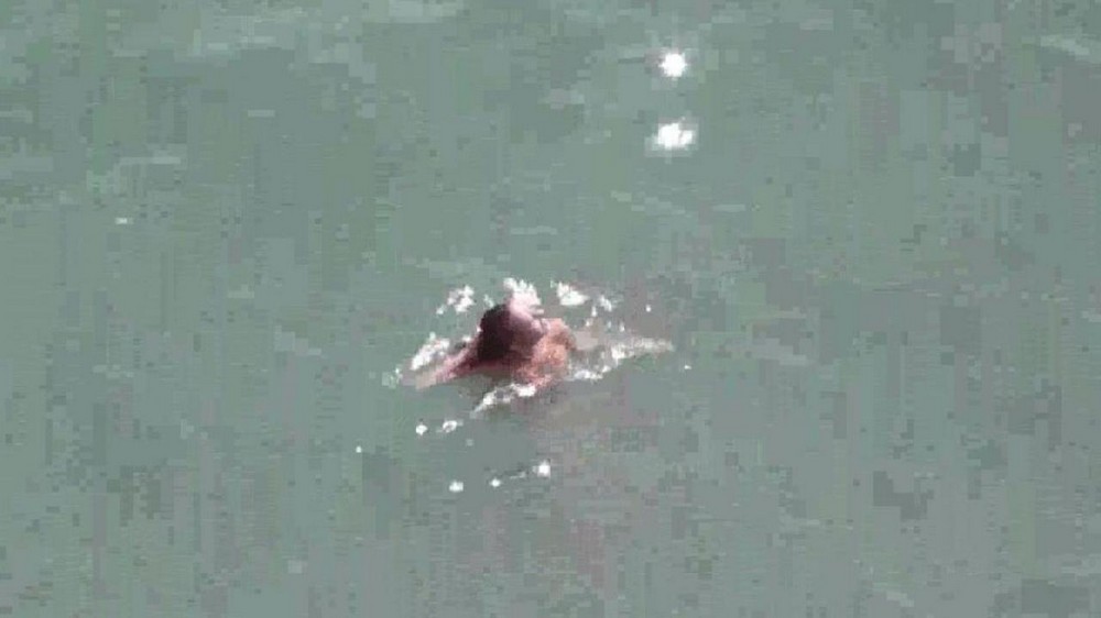 Naked couple at sea - porn video  