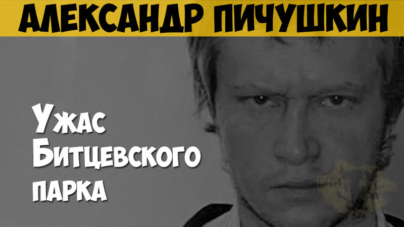 Alexander Pichushkin. Serial killer, maniac. The horror of Bitsevsky Park - porn video  