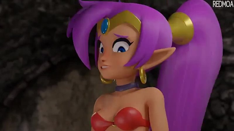 3D Game Porno Hentai Fuck Sex Shantae model Footfuck - porn video  