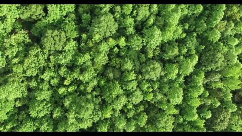 ⁣Video by Audio Stories. Stories of betrayal. Stories from life. - porn video  