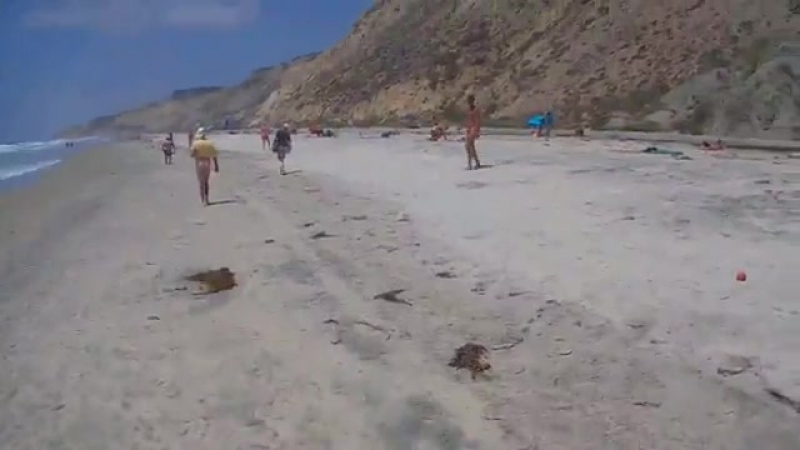 CFNM_Day_at_Blacks_Beach_6.8.2014 - porn video  