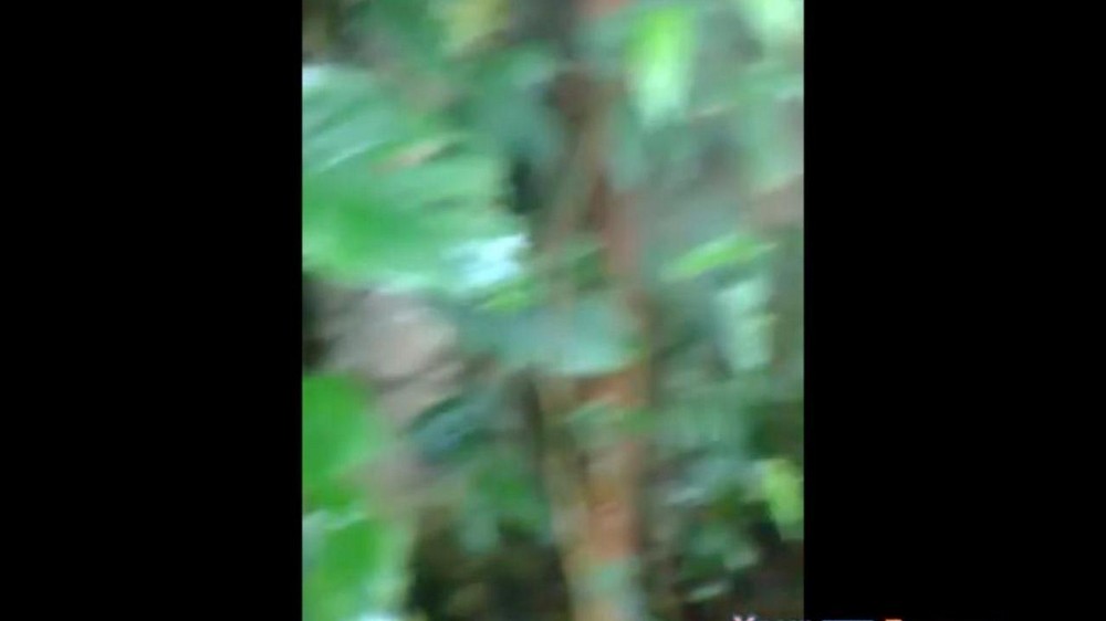 This is real incest actually filmed by the family themselves - porn video  