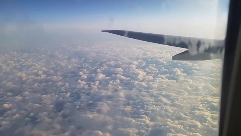 I gave a blowjob right on the plane (porn, incest, fucking, ponohub, milf, mom, pussy, sex, porno, fuck, mature, whore, loves anal) - porn video  