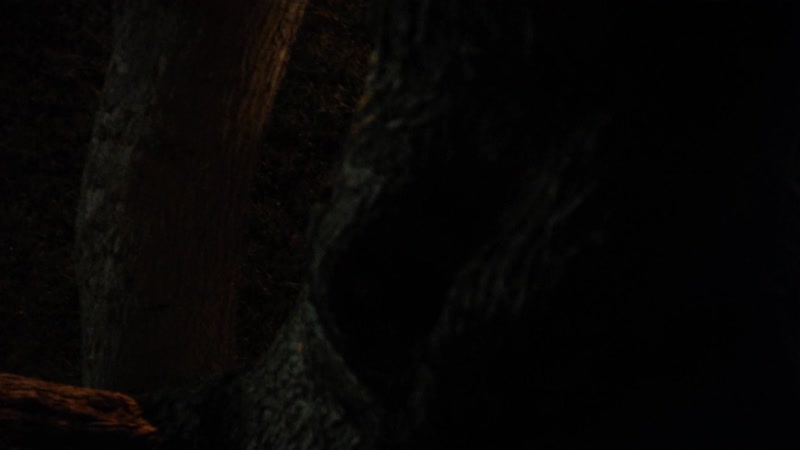 Annabeth Gish Nude - The Bridge s01e06-07 (2014) HD 1080p Watch Online - porn video  