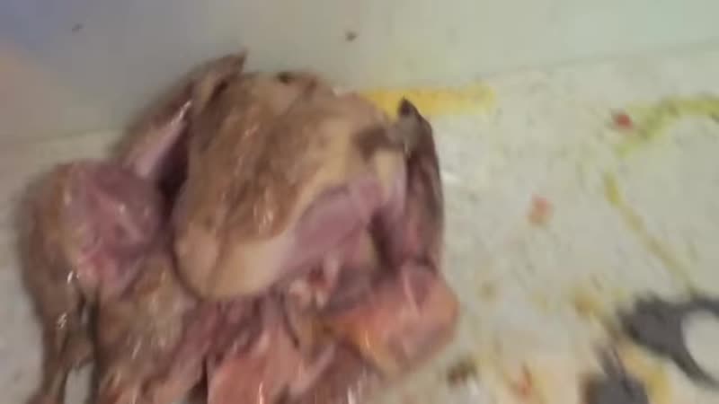 [HowToBasic] How To Stuff a Turkey - porn video  
