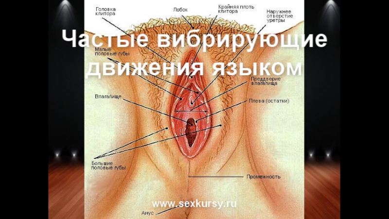 How to do cunnilingus, orgasm, anal sex and masturbation correctly - porn video  