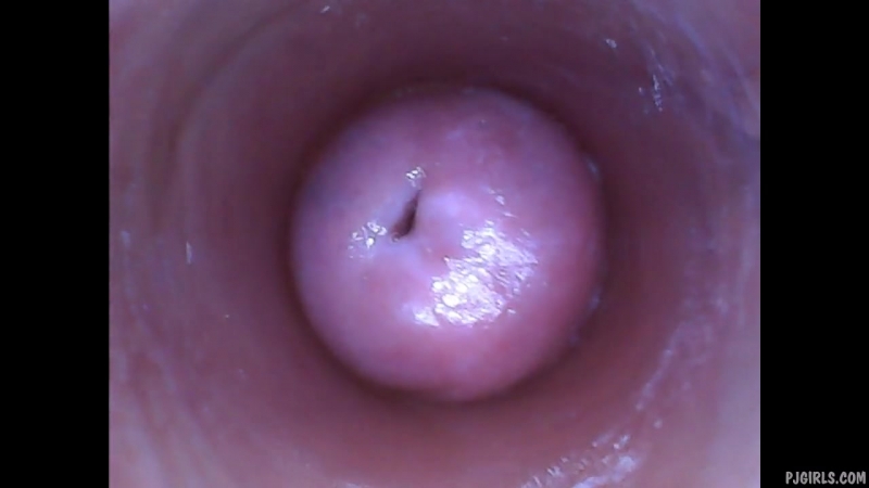 Womens pussy vagina from the inside in HD quality - porn video  