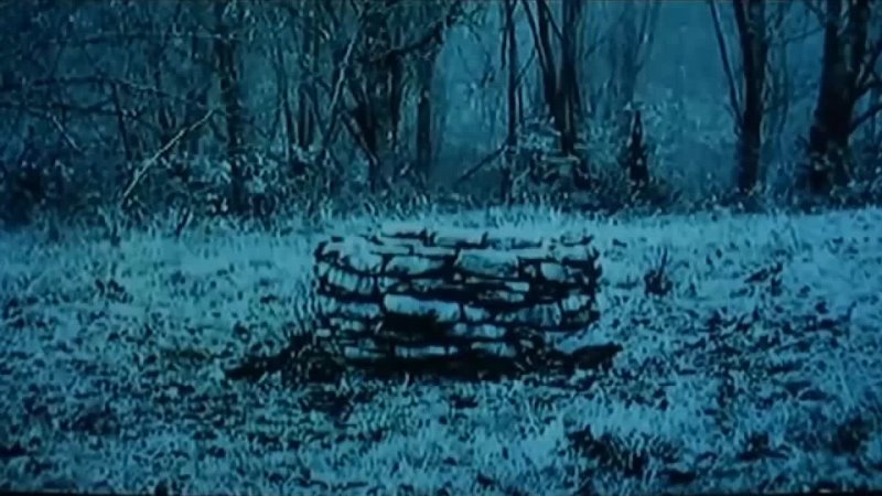 3D Monster Sadako 1080p The ring Hentai rule 34 porn video - porn video  