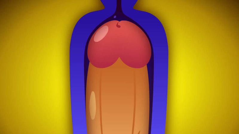ZONE ANKHA - porn video  