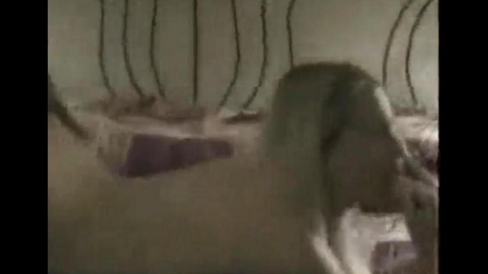 Hi*** camera burned daughters incest with father - porn video  