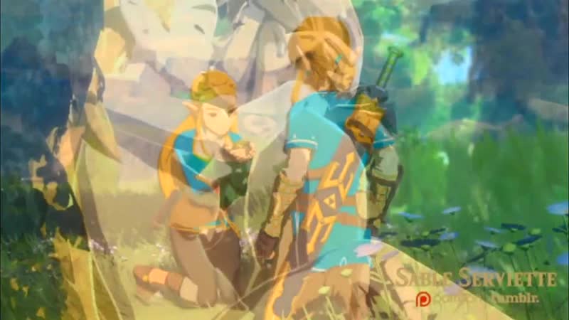 [The Legend Of Zelda] Sableserviette - porn video  