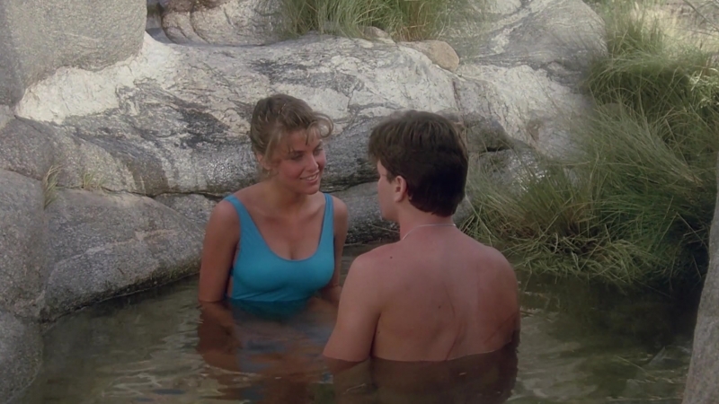Sherilyn Fenn Nude - The Wraith (1986) HD 1080p - porn video  