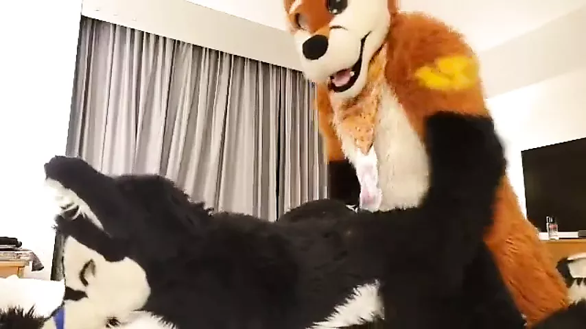 Play fursuit with friend - porn video  