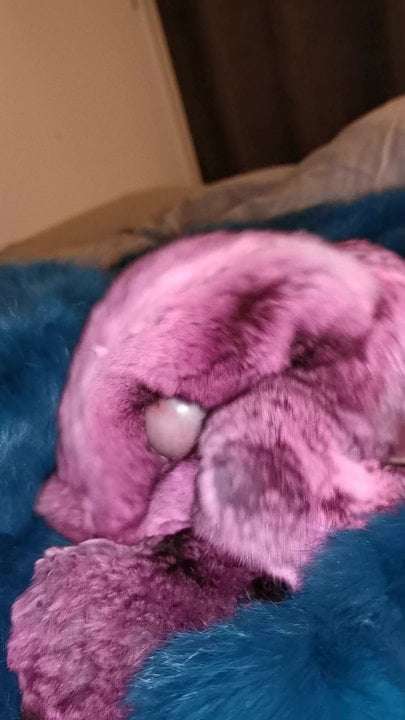 Chinchilla fur cumshot twice in a row - porn video  
