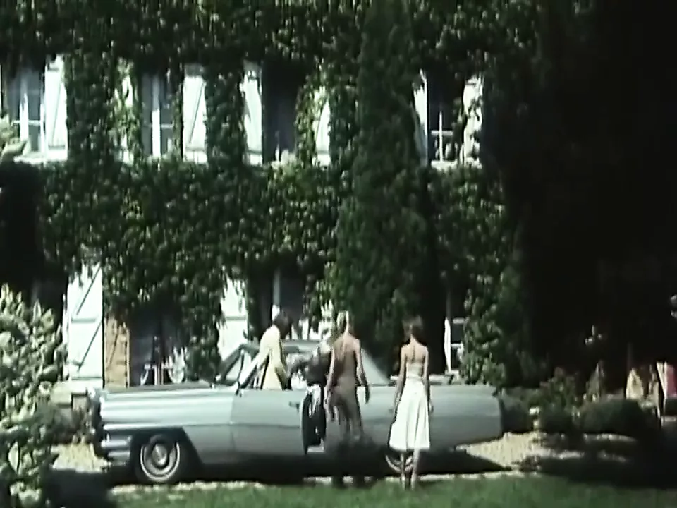 Pornographie Suedoise (1976) - porn video  