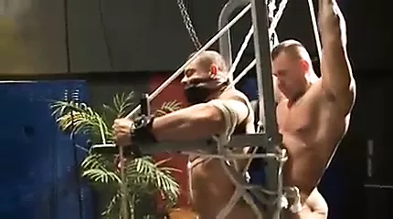 Bondage muscle - porn video  