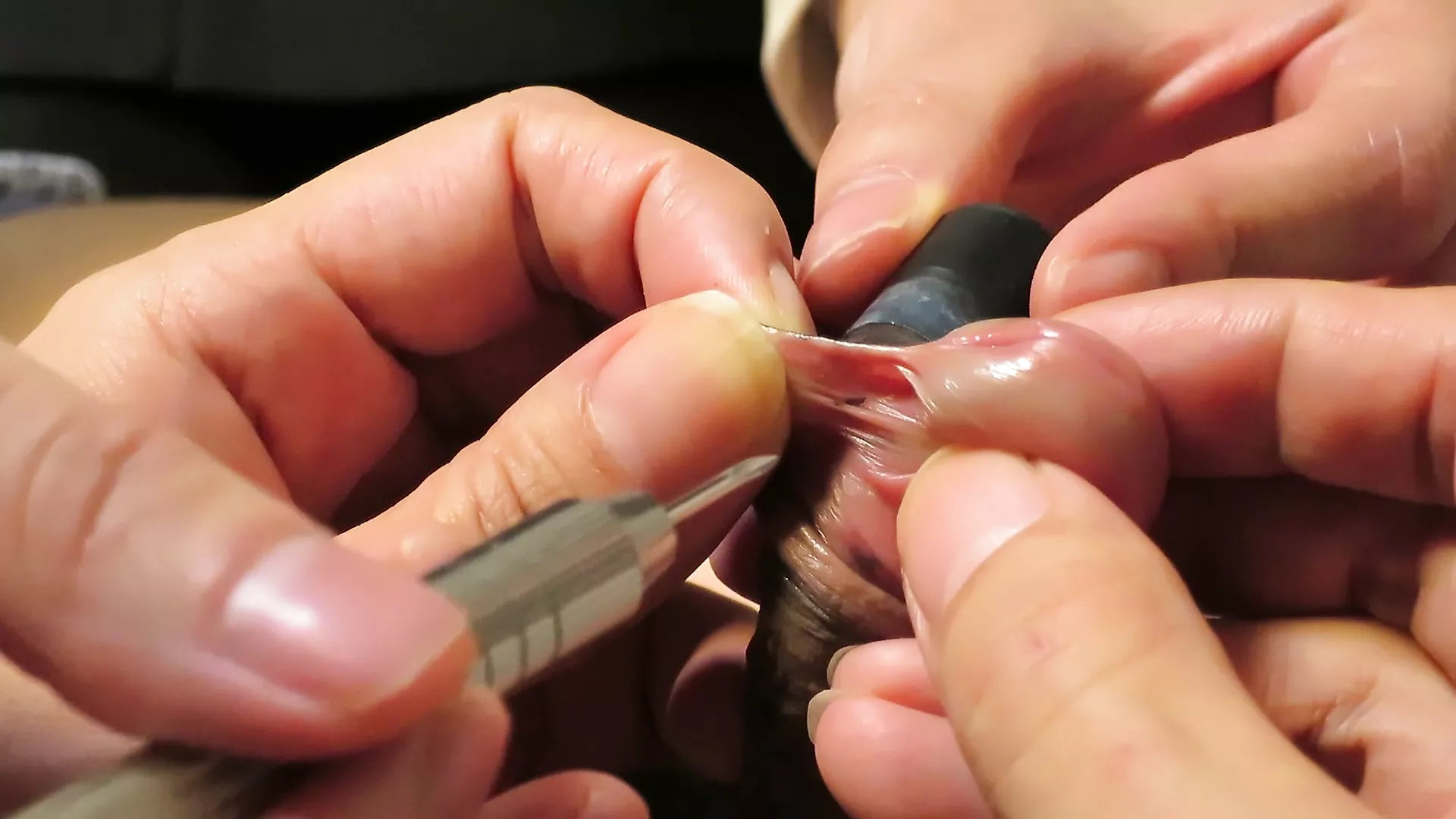 Getting frenum piercing cock - porn video  