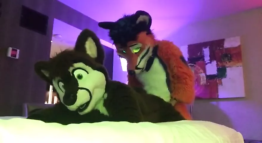 Two Gay Furries Fucking 2 - porn video  