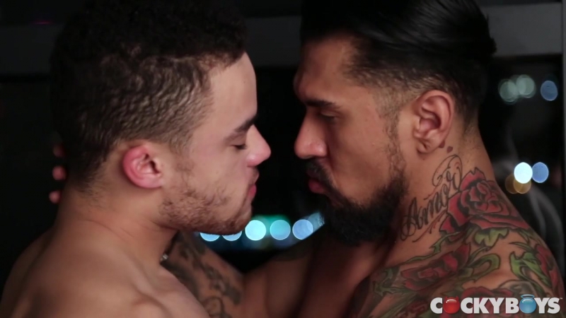 [CockyBoys] Boomer Banks Fucks Beaux Banks #gay #porn - porn video  