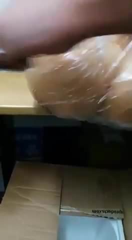 Pakistani guys playing with sex dolls ass - porn video  