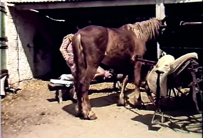 Spanish Fly (1985) - porn video  