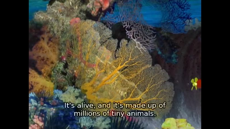 Li*** Einsteins S01E04 Whale Tale (eng subs) - porn video  