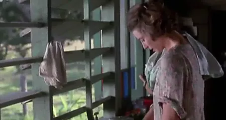 The Good Wife (1987) - porn video  