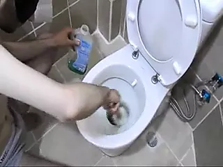 Mistress Reina Turkish Pet Slave Training Lifestyle - porn video  