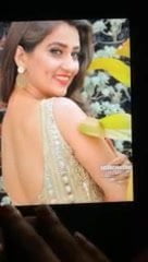Telugu Manjusha hot cum tribute - porn video  