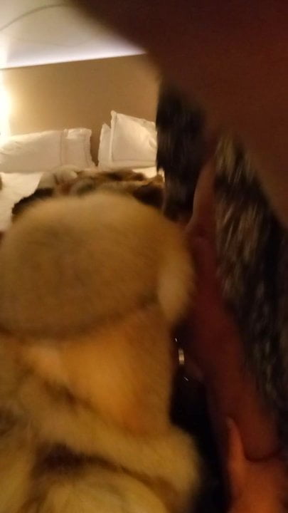 Naked in furcoat - porn video  