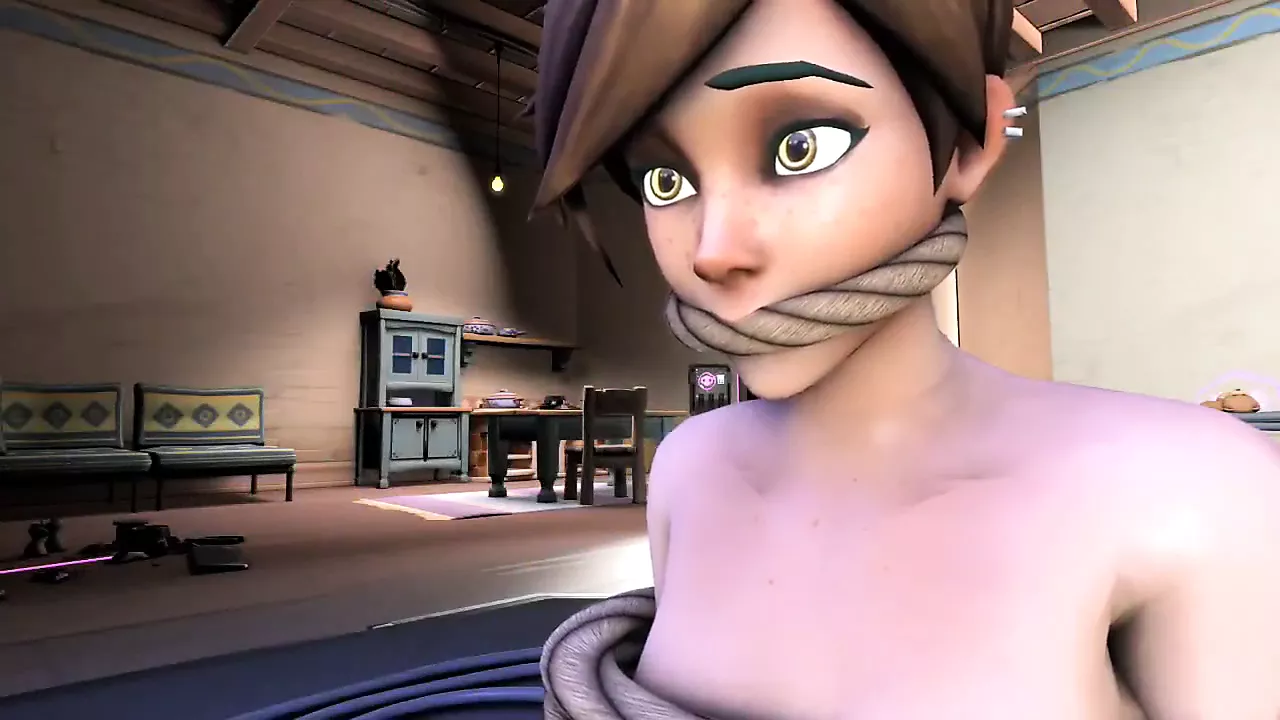 Overwatch Farting Animated - porn video  