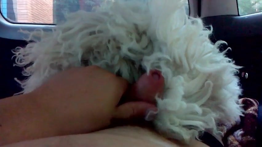 Sex on fur coat - porn video  