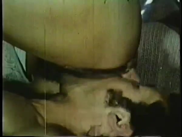 Vintage: Classic American Hippies - porn video  